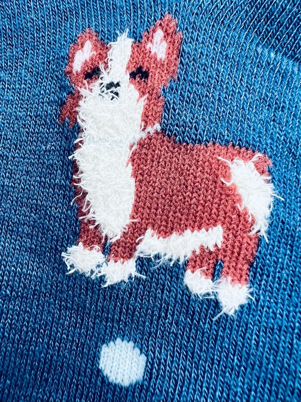 FREE PRESS LEGWEAR BLUE CREW SOCKS with CORGI DOGS